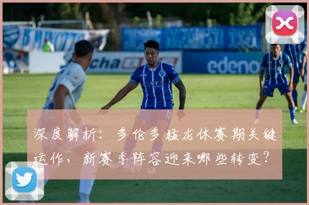 深度解析:多伦多猛龙休赛期关键运作,新赛季阵容迎来哪些转变?